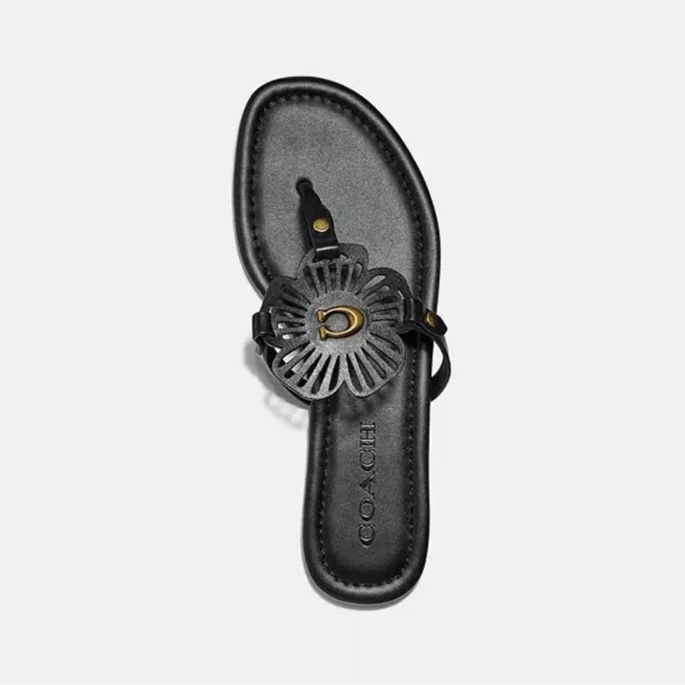 Coach Black Sandals with Sleek Design - Picture 4 of 13